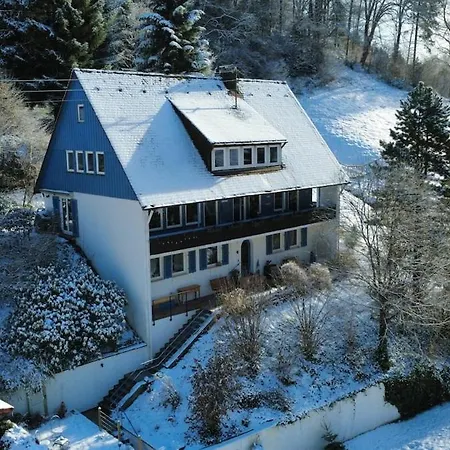 度假居 Haus Wichtelwald