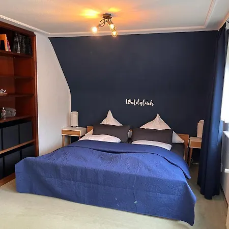 Haus Wichtelwald Holiday home Bad Rippoldsau-Schapbach