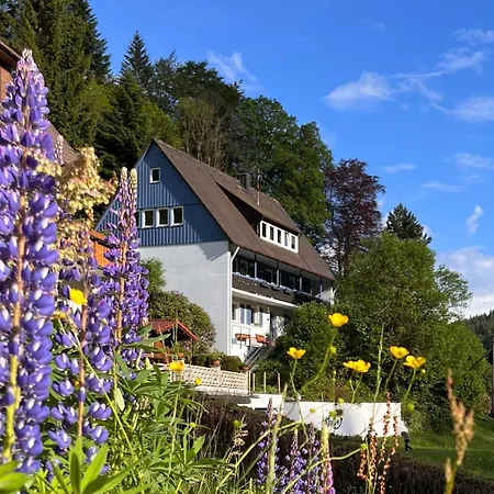 Haus Wichtelwald 巴特里坡德索西坡